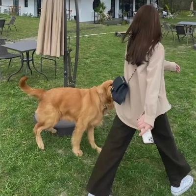 杀手柔情
